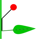 Concaulescence