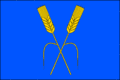 Flag of Kozolupy