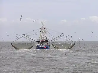 A shrimp trawler near Südfall