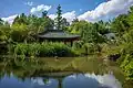 Asiatic garden