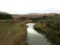 Upstream of Kruger Bridge