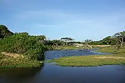 Lagoons