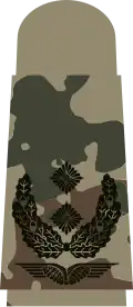 Oberstleutnant (tropentarn)