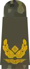 Brigadegeneral (field suit)