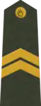 Latvia Kaprālis, OR-4, Army