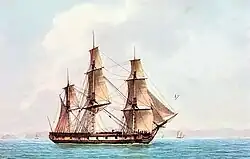 fluyt Forte