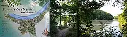 The Onésienne Forest and the Rhone river