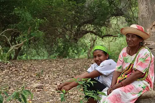 Indigenous Wayuu