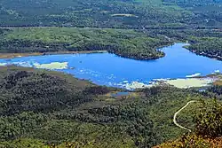 Lac des Cygnes