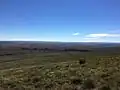 The Black Glen