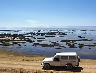 Junín Lake