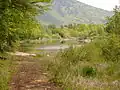 The lake and the surrounding vegetational environment.