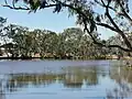 Lagoon, Yelarbon, 2019