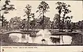 Lake (c. 1907)
