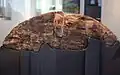 Wooden wheel fragment, Horgen culture