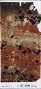 Micromorphological thin-section Lst-10295.