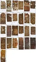 Micromorphological thin-sections from Lapa do Santo (2001-2009)