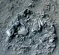 Burial 8. Excavation at phase 4.