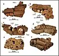 Burial 9 - 'Assemblage' of cut human long bones and teeth.