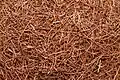 Larch Ball Close Up