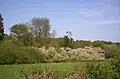 Launde Big Wood
