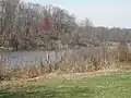 Lawrence Brook in Milltown