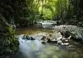 Lazar's Canyon River