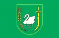 Flag of Lebedyn