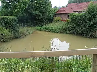 Lys header pool