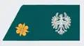 Leutnant (2nd lieutenant) Tyrol