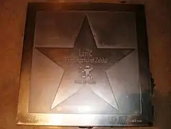 Link's star