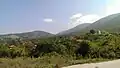 Ljuma.jpg