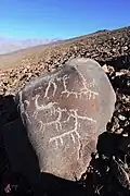 Llamas at La Silla[50]