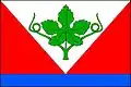 Flag of Lozice