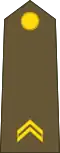 Premier sergent (Luxembourg Army)[23]