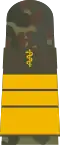Mounting loop