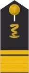 Admiral­apotheker (pharm.)