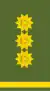 Lieutenant general