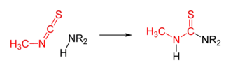 Reaction scheme: MITC and secondary amine react to form a thiourea