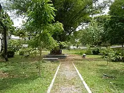 Pathway