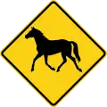 W11-22 Wild horse