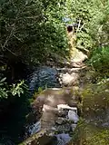 Ribeiro Frio