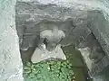 Statues of Jain Tirthankars