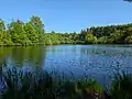 Maltby Lake 1
