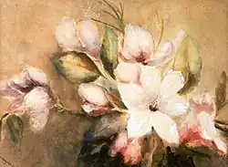 Magnoliatak