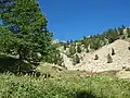 Along the trail