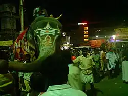 Elephant procession