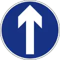 Ahead only (turning left and right is prohibited)