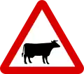 Domestic animals