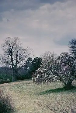Maymont in the winter.